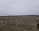 Satılır 9000 sot torpaq Tovuz