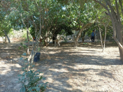 Satılır 3 sot torpaq Buzovna