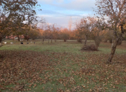 Satılır 36 sot torpaq Qəbələ