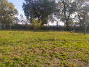 Satılır 10 sot torpaq Qəbələ