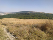 Satılır 24 sot torpaq Şamaxı