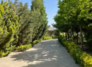 İcarəyə verilir 8 otaqlı 800 m2 bağ evi Novxanı