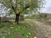 Satılır 12 sot torpaq Quba