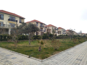 Satılır 3 otaqlı 179 m2 yeni tikili Buzovna