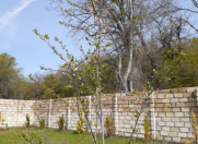 Satılır 14 sot torpaq İsmayıllı