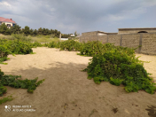 Satılır 21 sot torpaq Koroğlu m.