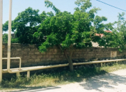 Satılır 6 sot torpaq Buzovna