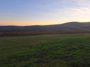 Satılır 1000 sot torpaq İsmayıllı