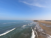 Satılır 70 sot torpaq Novxanı