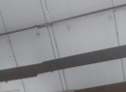 İcarəyə verilir 1 otaqlı 6 m2 obyekt 7 mkr