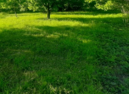 Satılır 3 sot torpaq Quba