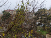 Satılır 1 otaqlı 25 m2 köhnə tikili Bakı Dövlət Universiteti