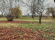 Satılır 20 sot torpaq İsmayıllı