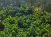 Satılır 18 sot torpaq Sumqayıt