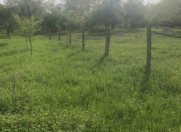 Satılır 12 sot torpaq Qəbələ