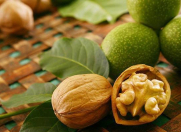 Satılır 14000 sot torpaq Qusar