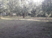 Satılır 10 sot torpaq Qəbələ