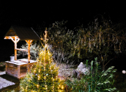 İcarəyə verilir 3 otaqlı 100 m2 villa Zaqatala