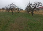 Satılır 8 sot torpaq Saray