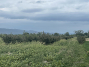 Satılır 1000 sot torpaq Şabran