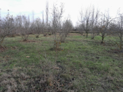 Satılır 10 sot torpaq Xaçmaz