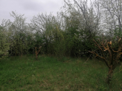 Satılır 36 sot torpaq Qusar