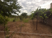 Satılır 12 sot torpaq Görədil