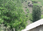 Satılır 4 sot torpaq Naxçıvan