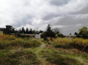 Satılır 12 sot torpaq Koroğlu m.