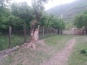 Satılır 4 sot torpaq Qax