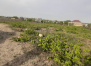 Satılır 12 sot torpaq Sumqayıt