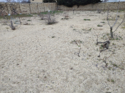 Satılır 12 sot torpaq Novxanı