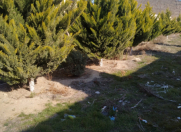 Satılır 9 otaqlı 100 m2 həyət evi Zirə