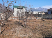 Satılır 5.8 sot torpaq Qəbələ