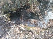 Satılır 1 sot torpaq Qəbələ