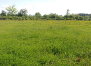 Satılır 6 sot torpaq Zaqatala