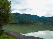 Satılır 10 sot torpaq Qəbələ