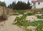 Satılır 12 sot torpaq Novxanı