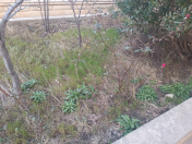 Satılır 6 sot torpaq 8 km