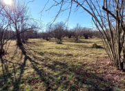 Satılır 50 sot torpaq Qəbələ