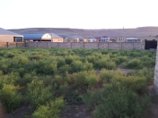 Satılır 8 sot torpaq Qobu