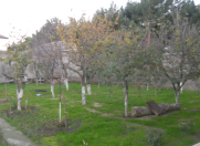 Satılır 13 sot torpaq 6 mkr