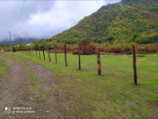 Satılır 12 sot torpaq İsmayıllı