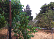 Satılır 2 otaqlı 42 m2 həyət evi Mərdəkan