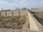 Satılır 5 sot torpaq Xaşaxuna