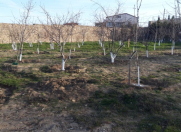 Satılır 26 sot torpaq Nardaran