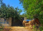 Satılır 12 sot torpaq Qəbələ