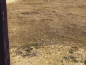 Satılır 2 sot torpaq Şüvəlan