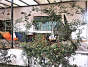 İcarəyə verilir 4 otaqlı 300 m2 bağ evi Mərdəkan