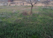 Satılır 8 sot torpaq Binə